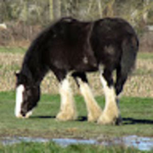 Meet your Posher, Ellie